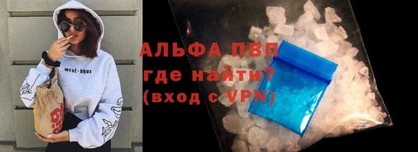 хмурый Абаза