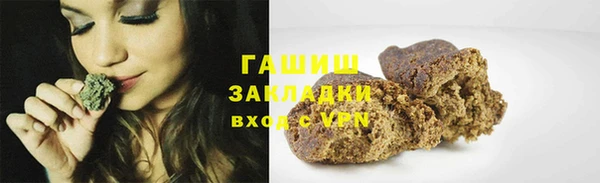 хмурый Абаза