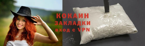 хмурый Абаза