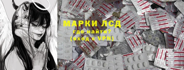 хмурый Абаза