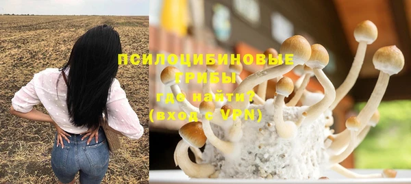 хмурый Абаза