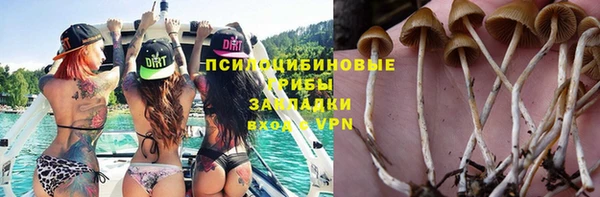 дмт Абинск