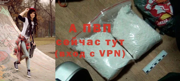хмурый Абаза